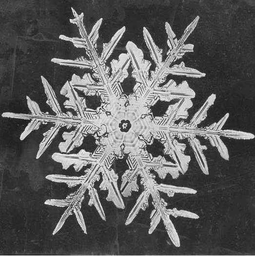 Types Of Snowflakes And Their Different Patterns - HubPages