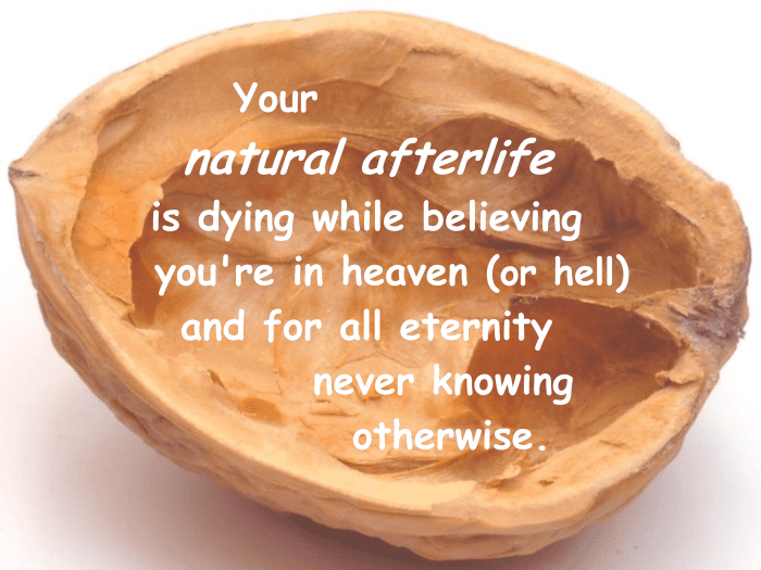In a nutshell, a simple description of your natural afterlife