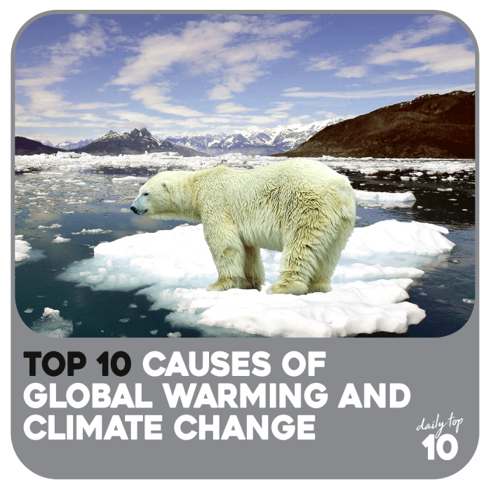 Top 10 Causes of Global Warming and Climate Change - HubPages