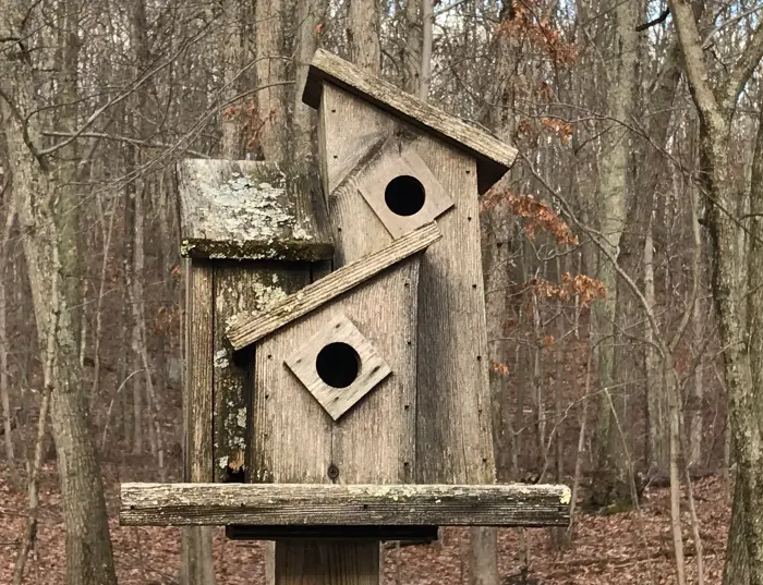 yard-art-birdhouse-how-to-build-a-multi-family-condo-birdhouse.webp