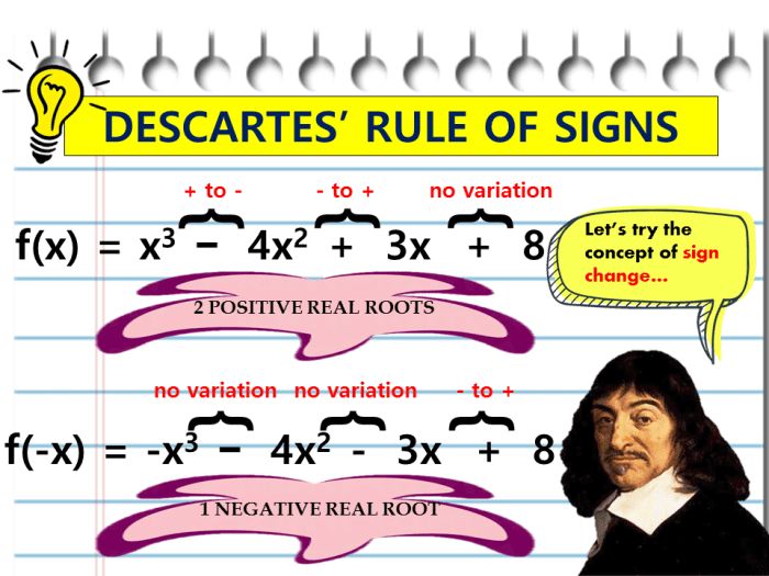 How To Use Descartes' Rule Of Signs (With Examples) - Owlcation