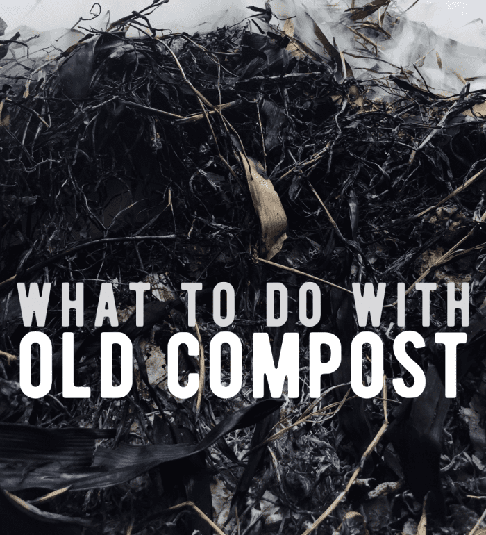 Ideas for how to use old compost.