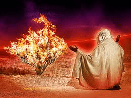 Religions are made of dreams and visions that people believe they have seen. Now, there are many gods in the world, anyhow god is god but nobody has seen God as a man, even though Yahweh talked to Moses on Mount Sinai, in the form of a burning bush