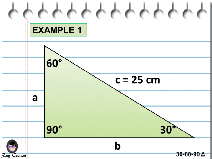 Finding the Measure of the Missing Sides in the 30-60-90 Triangle Given the Hypotenuse
