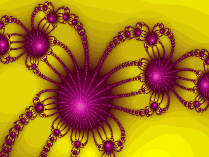 The fractal equation may be the only equation with no margin for error: no +/- at all. The smallest iota of change in the equation yields an entirely different form. Does this tell us anything about life beyond our solar system?