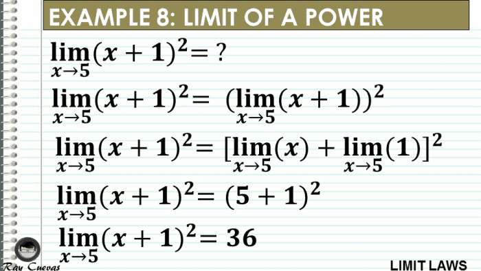 Example 8: Evaluating the Limit of the Power of a Function