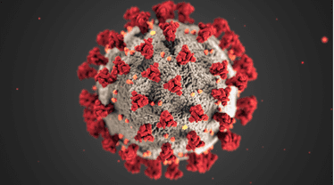 Figure 2. SARS-COV-2 structure. All red dots form the "crown," and the "fat layer" is presented colored in grey.