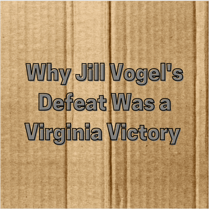 Fortunately for all Virginians, the next lieutenant governor of that same state will never be Virginia State Senator Jill Holtzman Vogel so long as people in that state remain wise to her true colors.