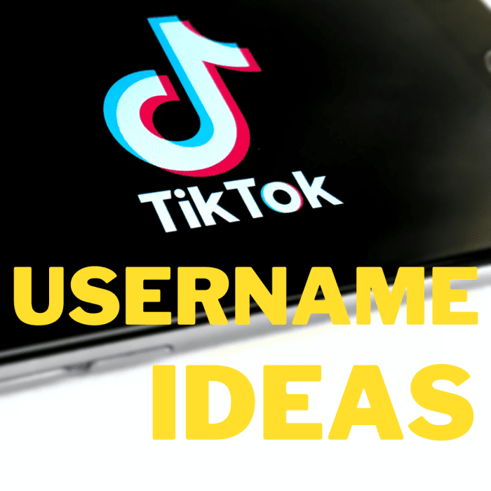 200+ TikTok Username Ideas and Name Generator - HubPages