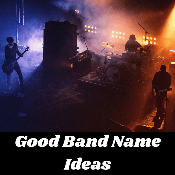 Once you get your band name set, you can start playing shows and wooing fans.