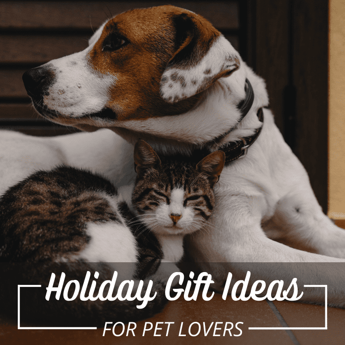 Holiday shopping for a pet-lover can be tricky if you don't know as much about their furry friend as they do. These ideas make a great starting point.