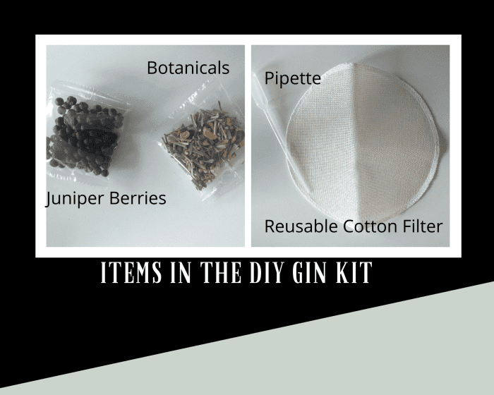 How to Make Your Own Gin at Home With a DIY Gin Kit Delishably