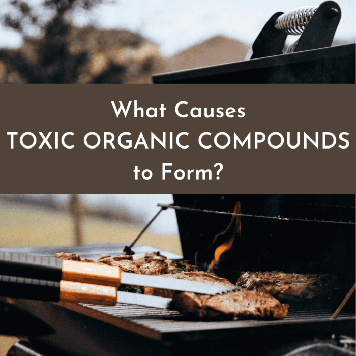 Learn about some of the unusual ways that toxic organic compounds can be formed, such as from barbecuing meat and treating water.