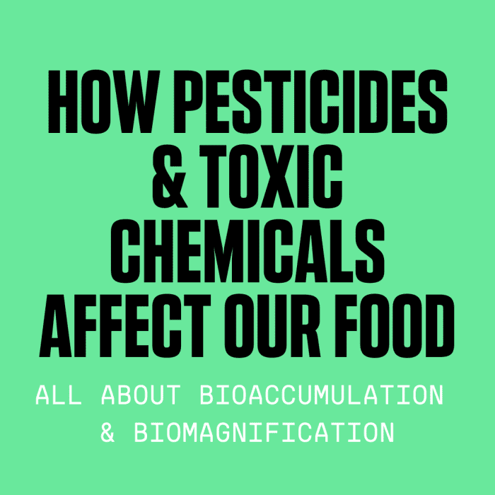 Learn how chemicals in the environment are affecting our food supply and what you can do to protect yourself.