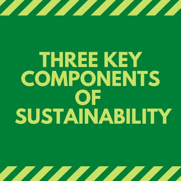 The Environmental, Economic, and Social Components of Sustainability ...