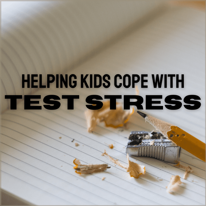 If your child is struggling with stress and anxiety over upcoming school exams, remember the mantra: "Plan, prepare and study."