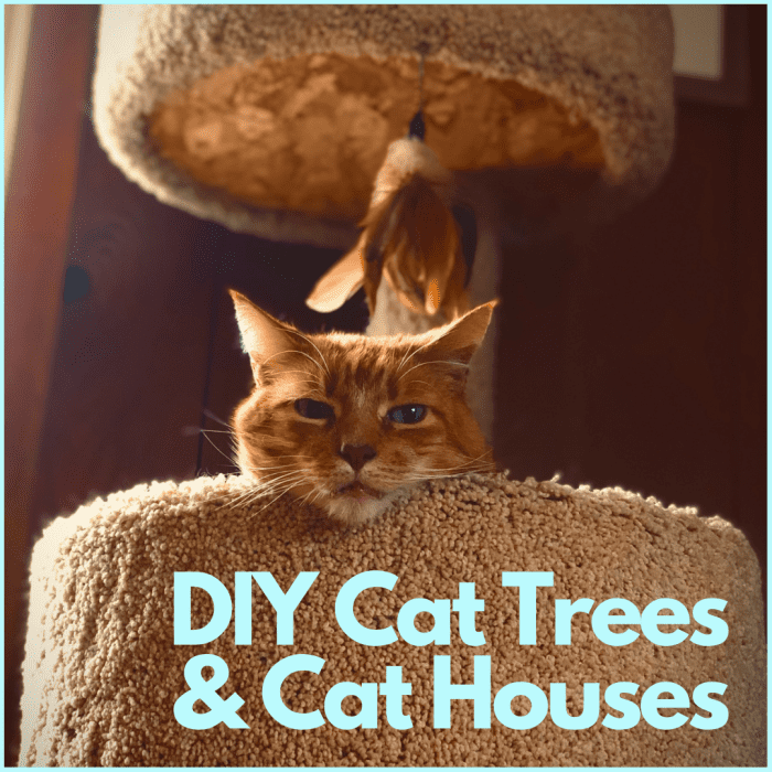 Check out these project ideas and make a special place for your kitty that doesn't require breaking the bank.