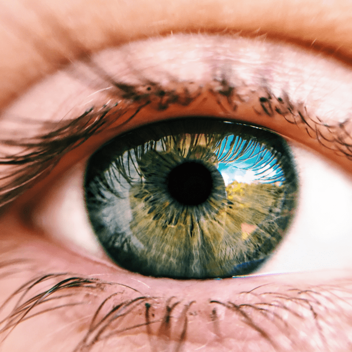 Look into my eyes . . .