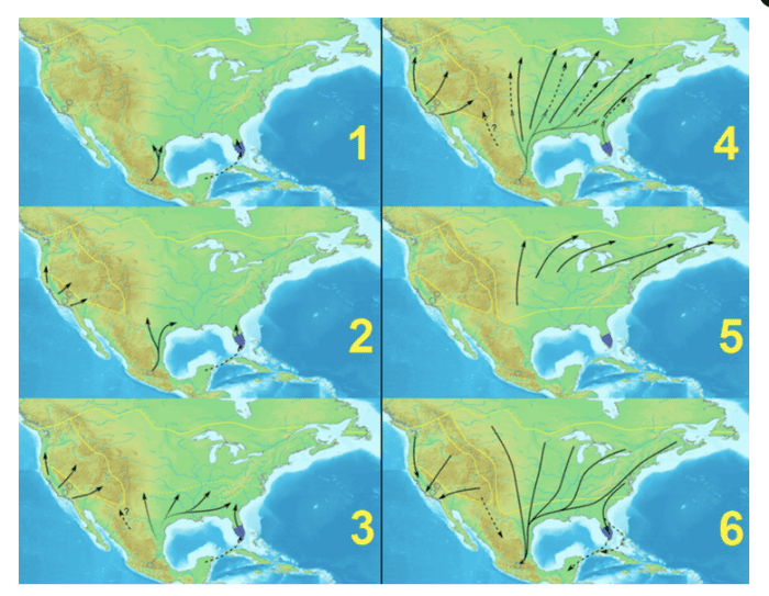 This graphic illustrates the migration of the monarch.