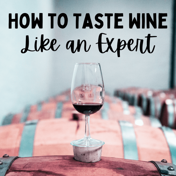 10 Wine Terms for Beginners and How to Taste Wine Like an Expert ...