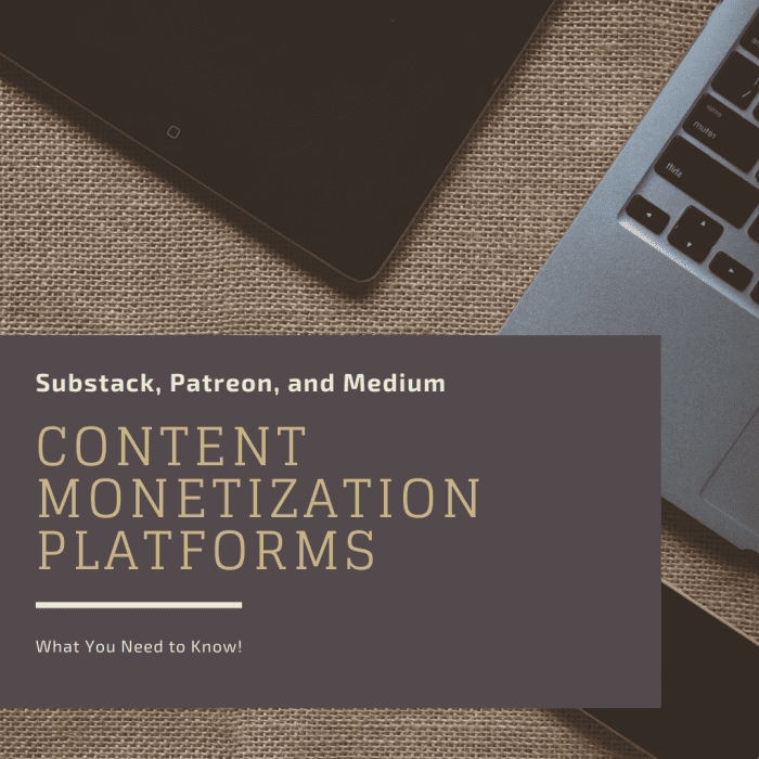 Here's what you need to know about Substack, Patreon, and Medium content monetization platforms.