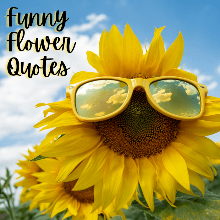 Funny Flower Quotes and Sayings - Holidappy