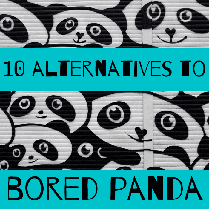 10 Sites Like Bored Panda (sites About the Amazing, Creative, and