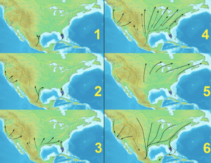 Monarchs migrate over thousands of miles annually.
