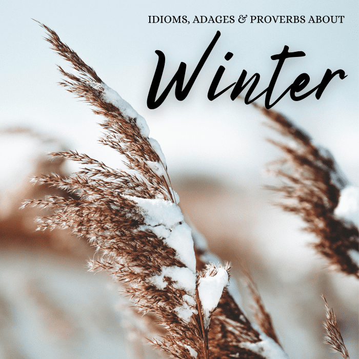 A surprising number of expressions, idioms, and turns of phrase have been created about the winter season over the years.