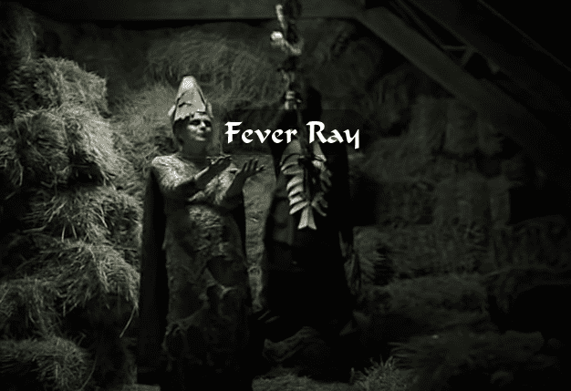 Fever Ray doesn't shy away from imagery in their music videos. They come up with some striking and original images, like in this video, "Seven".