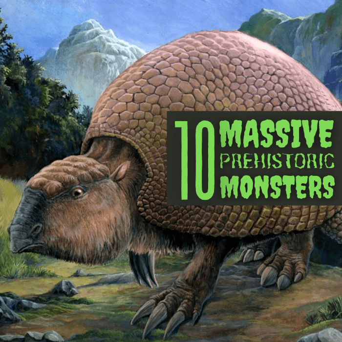 The heavily armed Glyptodon (pictured here) is the oldest known relative of the modern-day armadillo.