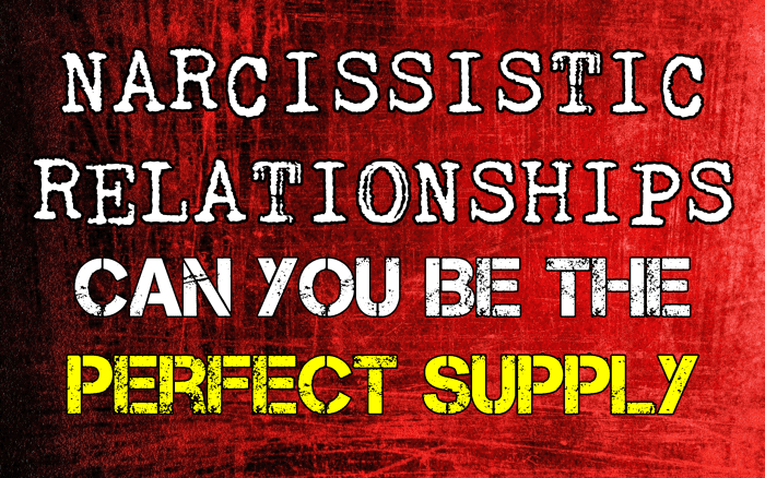 Narcissistic Relationships: Can You Be The Perfect Supply - HubPages