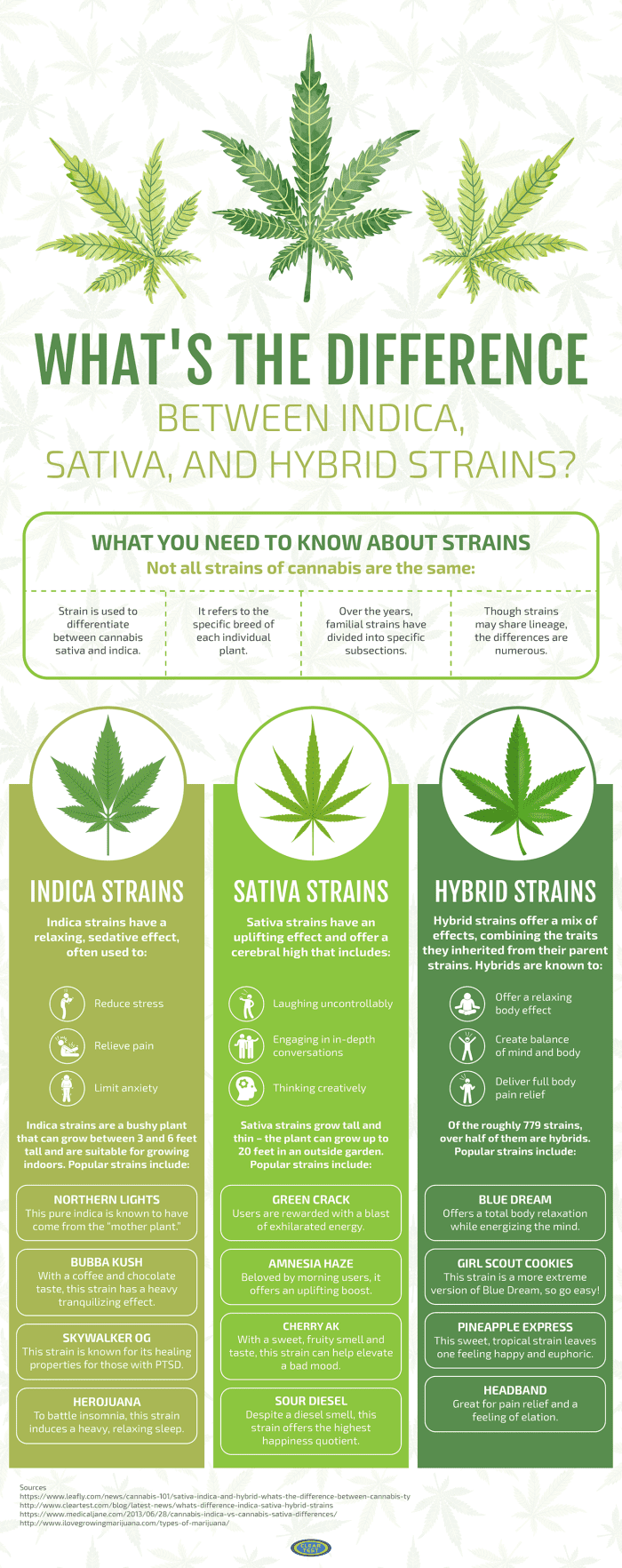 Crash Course: Cannabis 101 - Owlcation