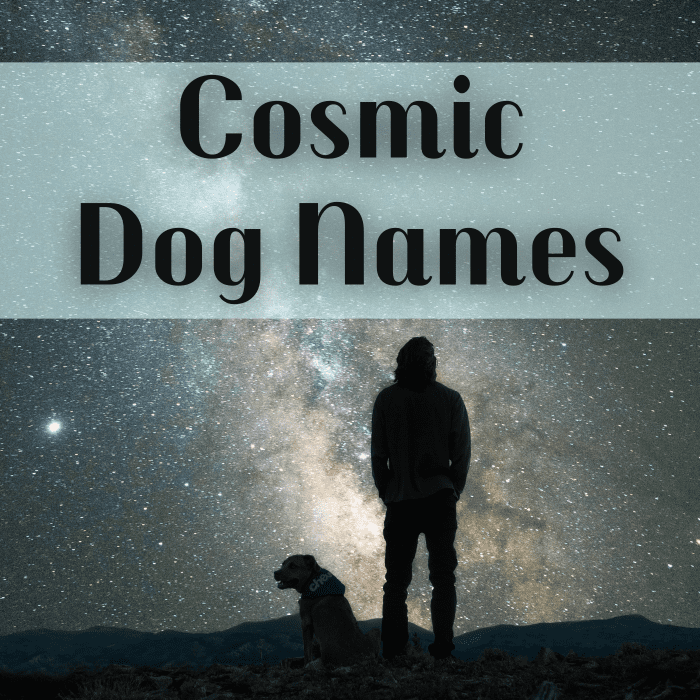 Take inspiration from the stars when naming your dog. Discover name ideas such as Atlas, Vega, Galaxy, Titan, and (of course) Pluto.
