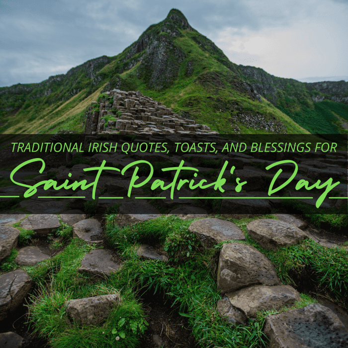 It's St. Patrick's Day, so why not raise your glass the Irish way?