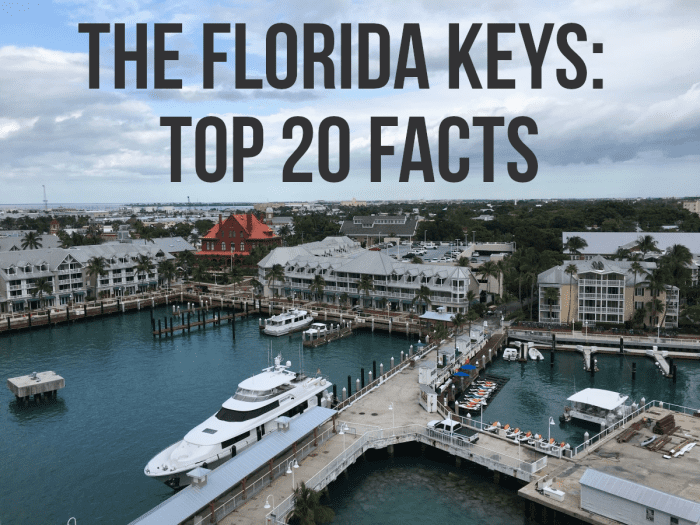 20-facts-about-the-florida-keys-wanderwisdom