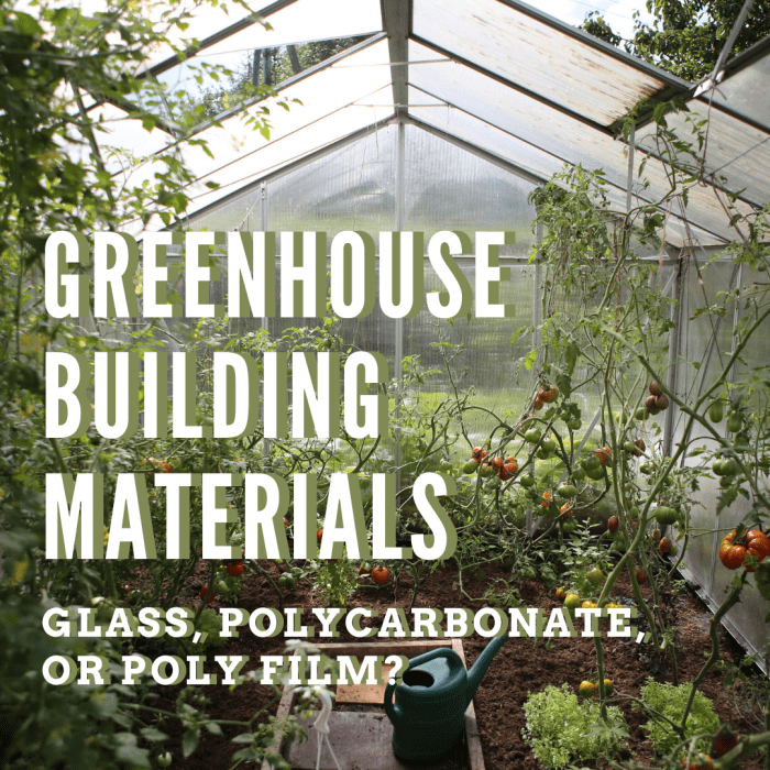 Not all greenhouses are made with glass panels. Which materials should you use to build your greenhouse?