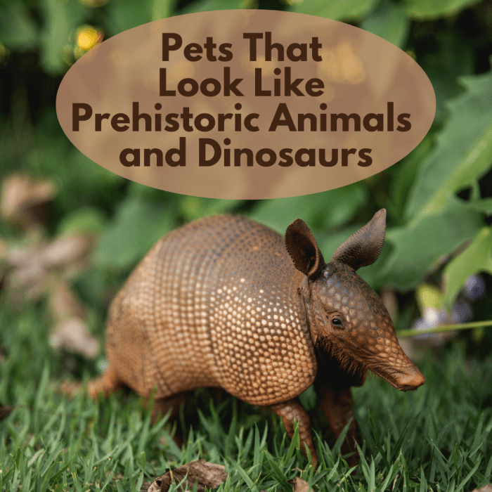 Вот список из 16 замечательных питомцев для любителей динозавров и доисторических животных.