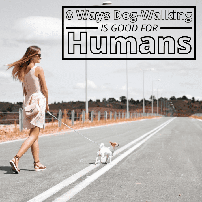 We all know that dogs love going for walks, but did you know taking your dog for a walk is as good for you as it is for them?