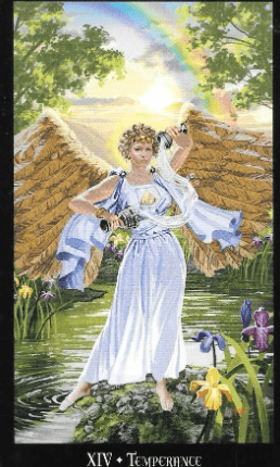 Temperance is a reminder that fire energy must be balanced. There are neutral places. You can temper your aggression. Living in balance will give you better results.
