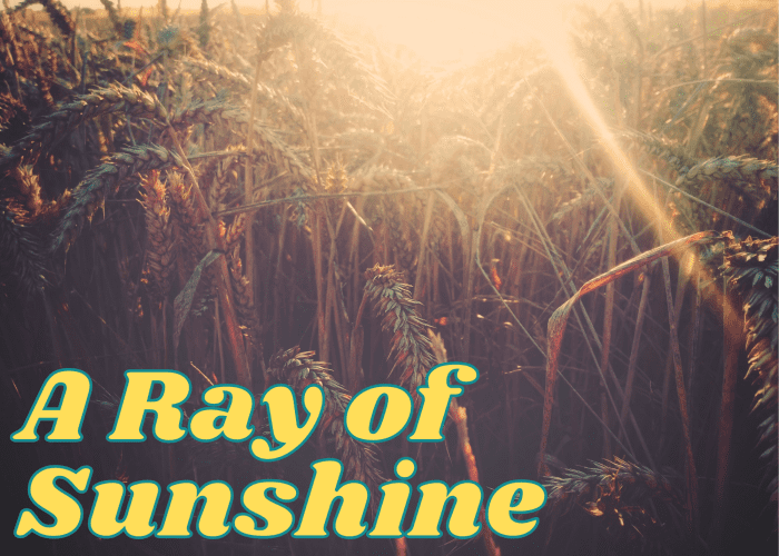 Common Summer Idioms, Sayings, Quotes, Phrases, and Proverbs Holidappy