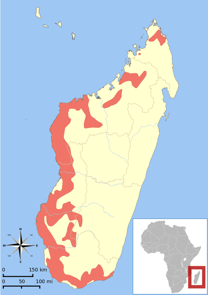 Range map for Cheirogaleus medius
