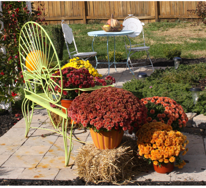 build-a-small-backyard-patio