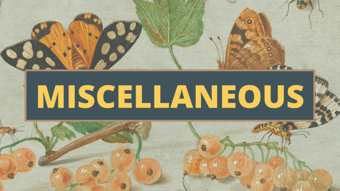 Miscellaneous Questions for All Ages and Grades