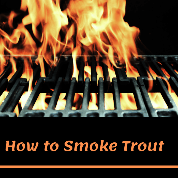 How to Smoke Trout and Other FreshCaught Fish Delishably