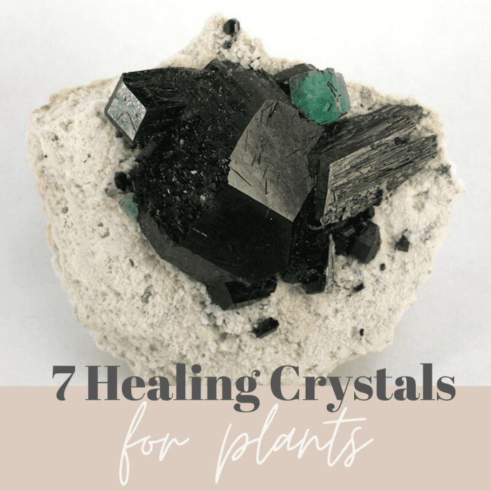 Seven Healing Crystals for Plants and Gardens RemedyGrove