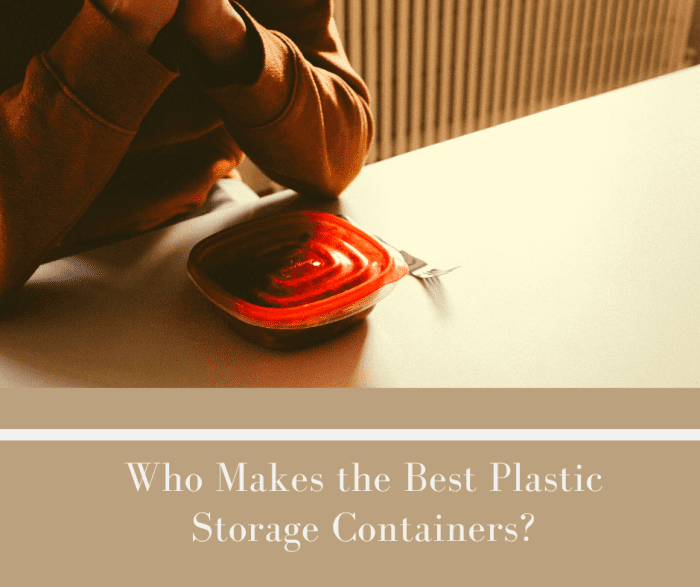 Who Makes the Best Plastic Storage Containers? Delishably
