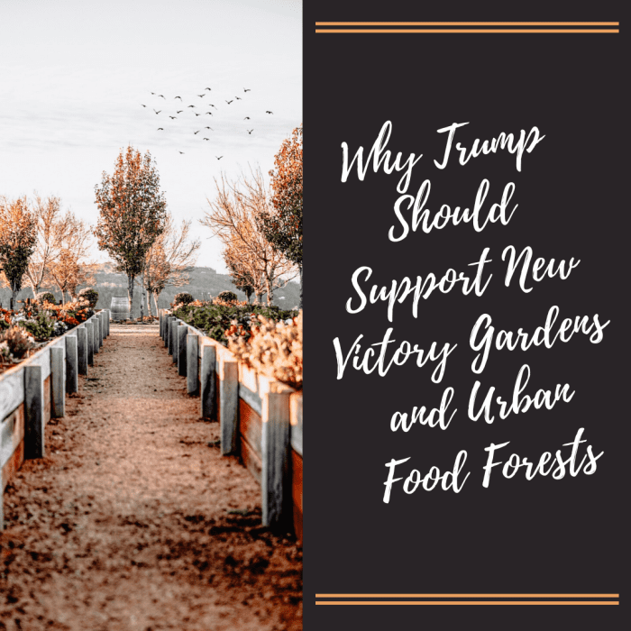 Due to a potential food crisis, President Trump should support efforts to promote and fund community gardens.
