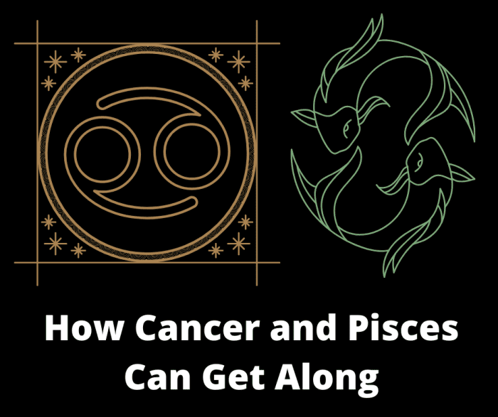 How Cancer and Pisces Can Get Along Exemplore