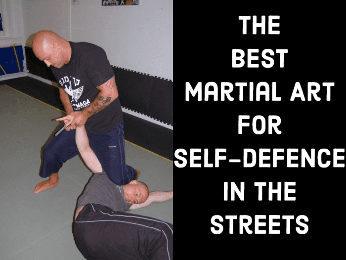 The 5 Most Effective Martial Arts for SelfDefence on the Street